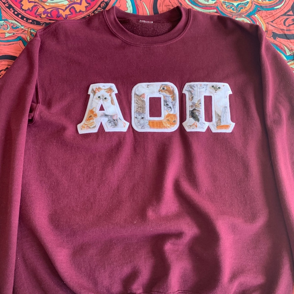 Costom AOII cat stitch sweatshirt